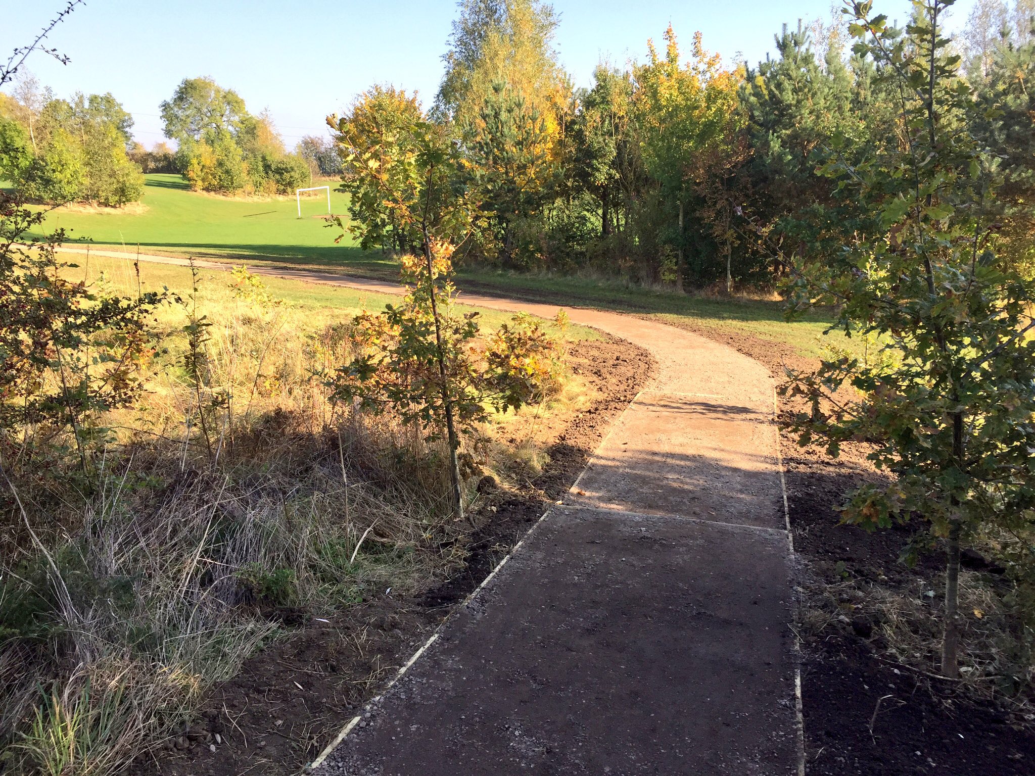 Dale Road Friends of Spondon Parks