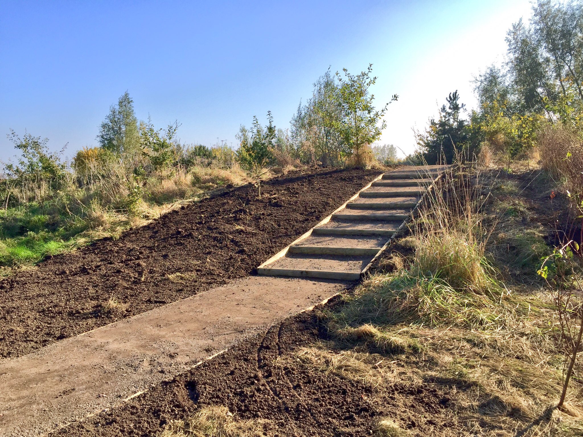 Dale Road Friends of Spondon Parks