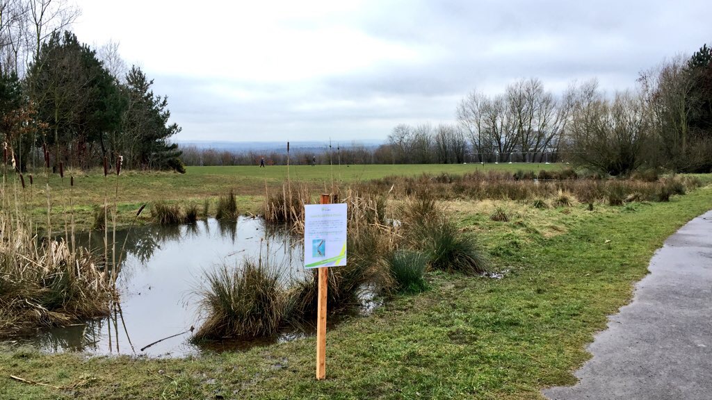 Dale Road Friends of Spondon Parks