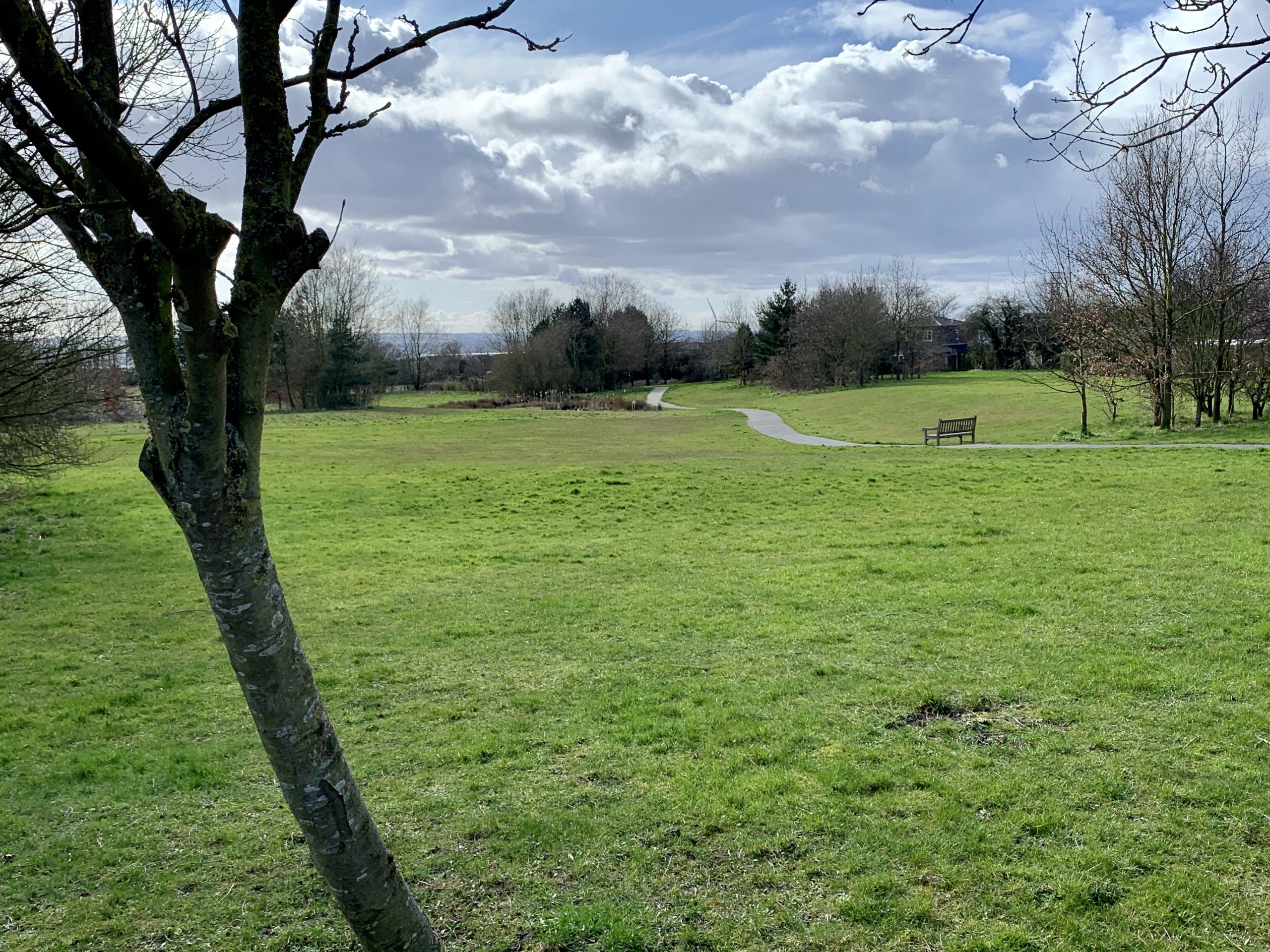 Dale Road Friends of Spondon Parks