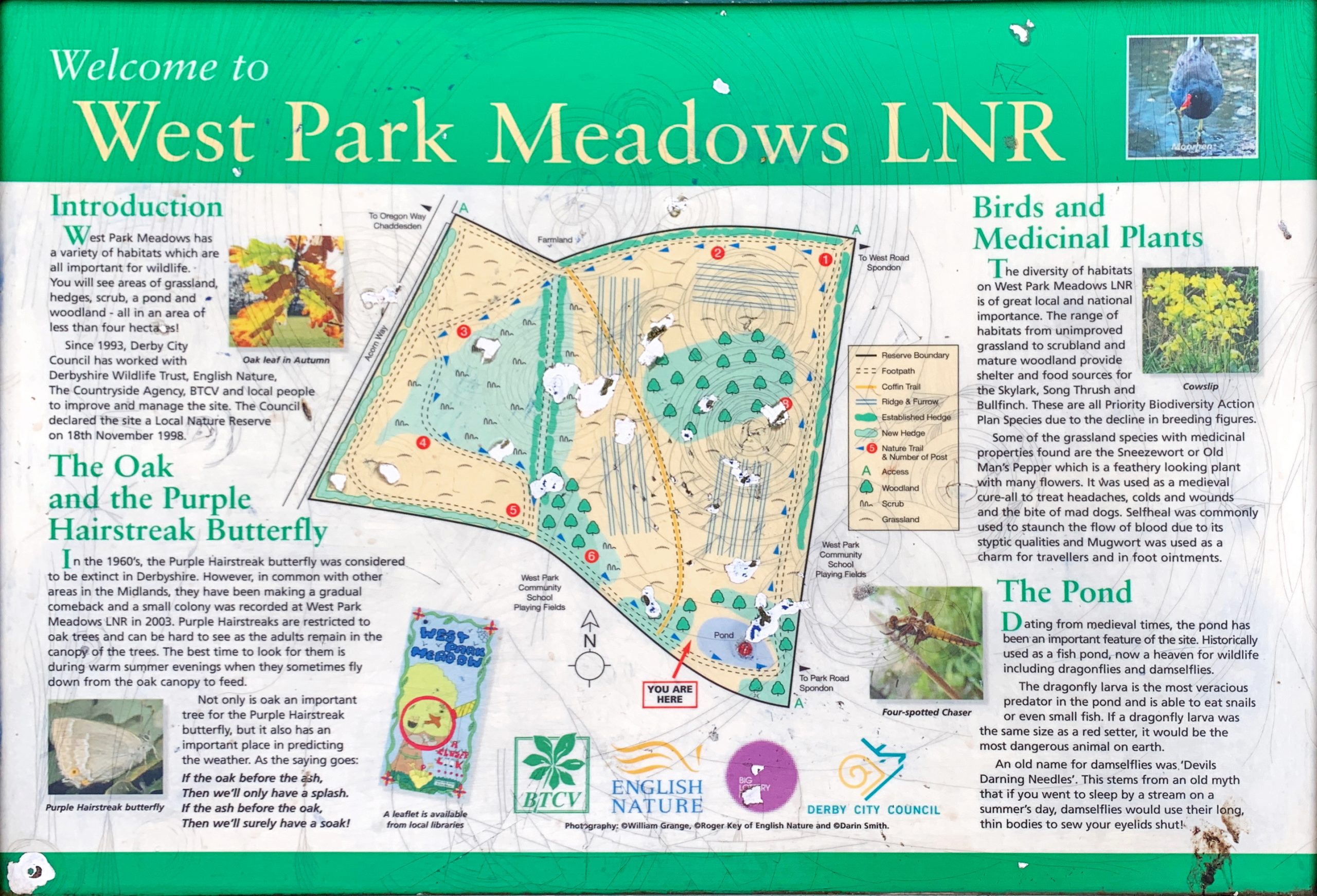 West Park Meadows Friends of Spondon Parks